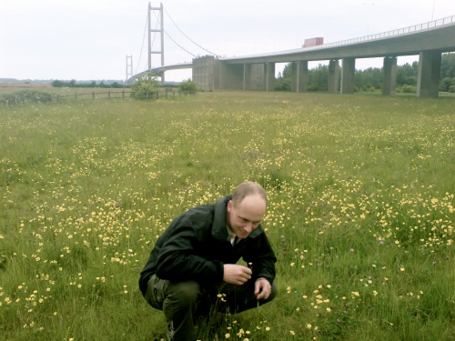 Ed admiring the buttercups at the south side of the Humber
